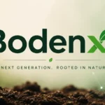 Bodenxt